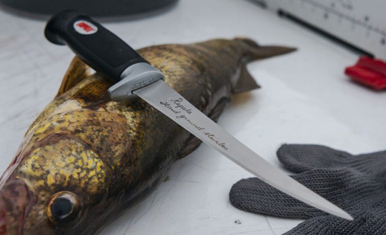 Benefits of a Serrated Fishing Knife