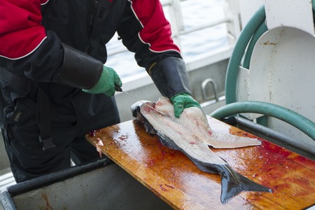 Fishing Knife Safety Tips