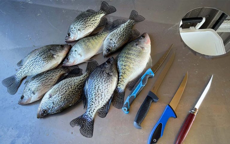 Saltwater Vs. Freshwater Fishing Knives
