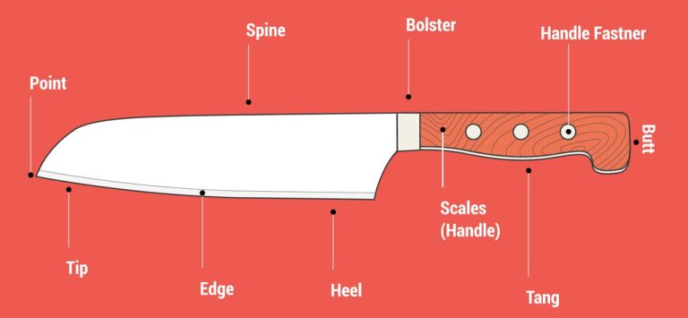 The Anatomy of a Kitchen Knife: Blade Types And Uses
